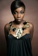 Estelle на турне с Gym Class Heroes и the Roots